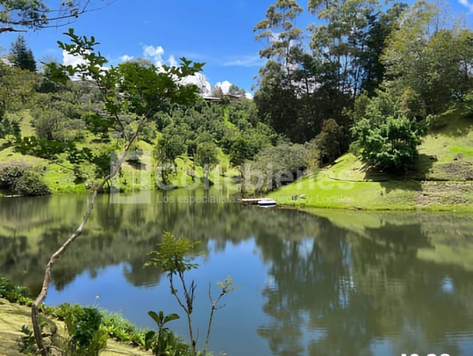 Finca en arriendo en Llano Grande, Rionegro, 500 m² · foto 20 de 21