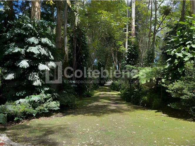 Finca en venta en Llano Grande, Rionegro, 500 m² · foto 21 de 21