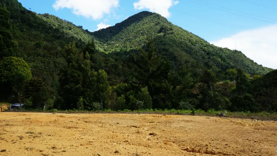 Lote en venta en La Sonadora, El Carmen de Viboral, 5000 m² · foto 4 de 9