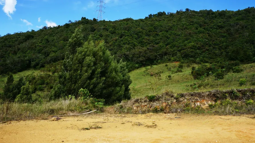 Lote en venta en La Sonadora, El Carmen de Viboral, 5000 m² · foto 7 de 9