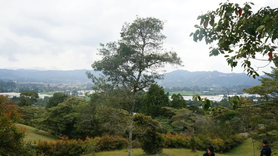 Lote en venta en San Nicolas, La Ceja, 4674 m² · foto 6 de 11