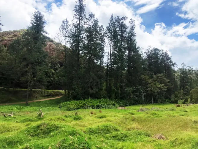 Lote en venta en El Retiro, 76000 m² · foto 10 de 14