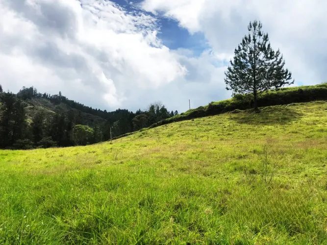 Lote en venta en El Retiro, 76000 m² · foto 12 de 14