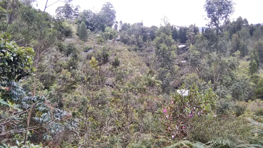 Lote en venta en La Hondita, Guarne, 37144 m² · foto 3 de 10