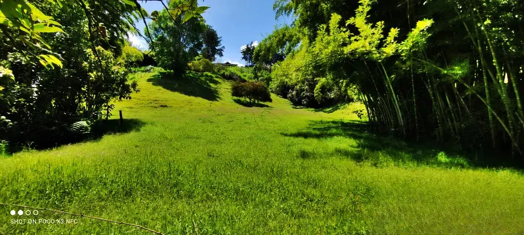 Lote en venta en La Industrial, Marinilla, 8000 m² · foto 4 de 21