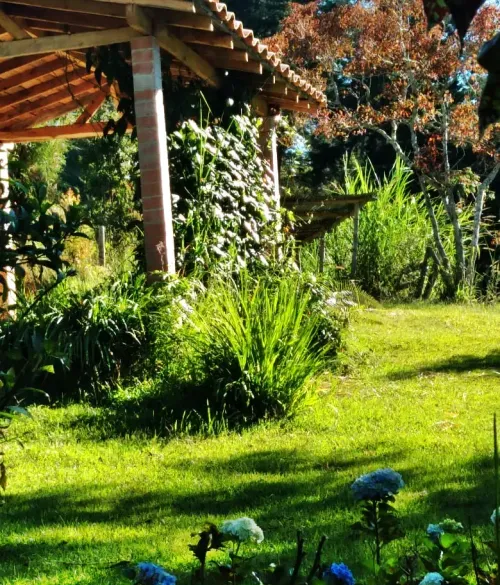 Lote en venta en La Industrial, Marinilla, 8000 m² · foto 10 de 21