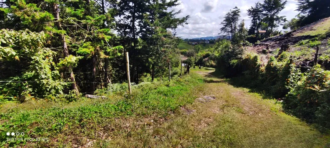 Lote en venta en La Industrial, Marinilla, 8000 m² · foto 11 de 21