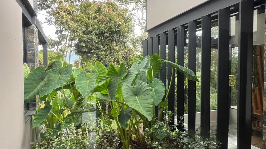 Casa de 3 alcobas en venta en Guamito, La Ceja · foto 17 de 24
