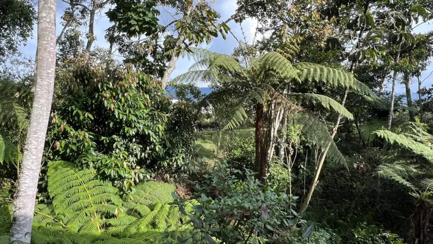 Casa de 3 alcobas en venta en Guamito, La Ceja · foto 22 de 24