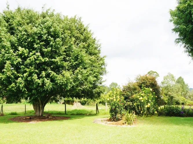 Finca en venta en Llano Grande, Rionegro, 30000 m² · foto 4 de 24