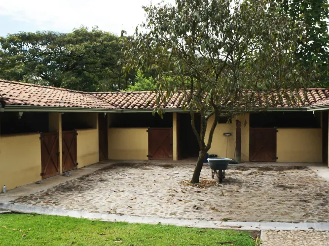 Finca en venta en Llano Grande, Rionegro, 30000 m² · foto 5 de 24