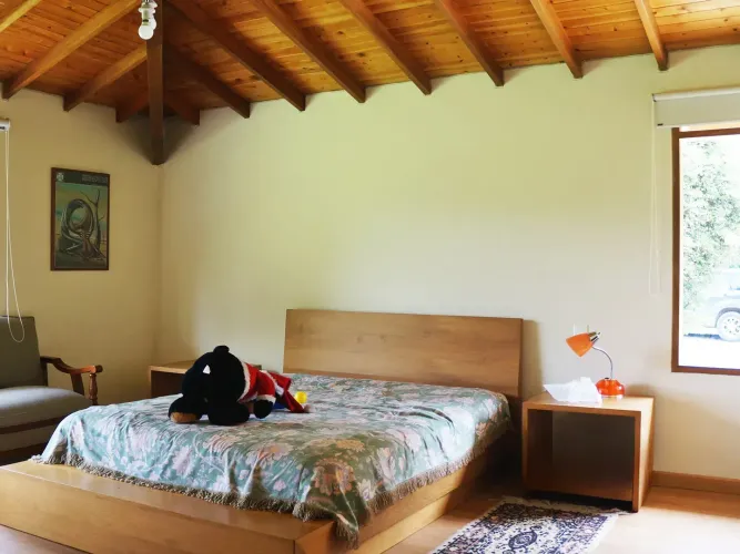 Finca en venta en Llano Grande, Rionegro, 30000 m² · foto 19 de 24