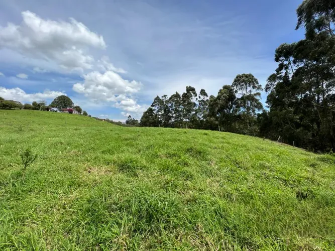 Lote en venta en Quirama, El Carmen de Viboral, 74000 m² · foto 9 de 24