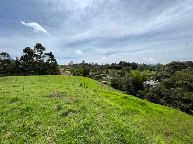 Lote en venta en Quirama, El Carmen de Viboral, 74000 m² · foto 11 de 24