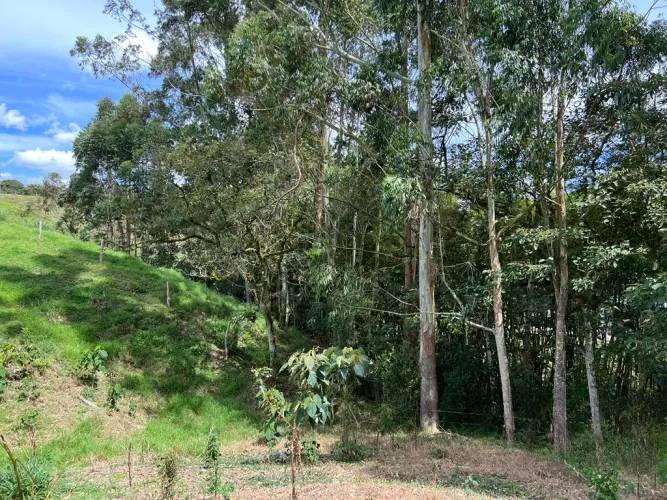 Lote en venta en Quirama, El Carmen de Viboral, 74000 m² · foto 13 de 24