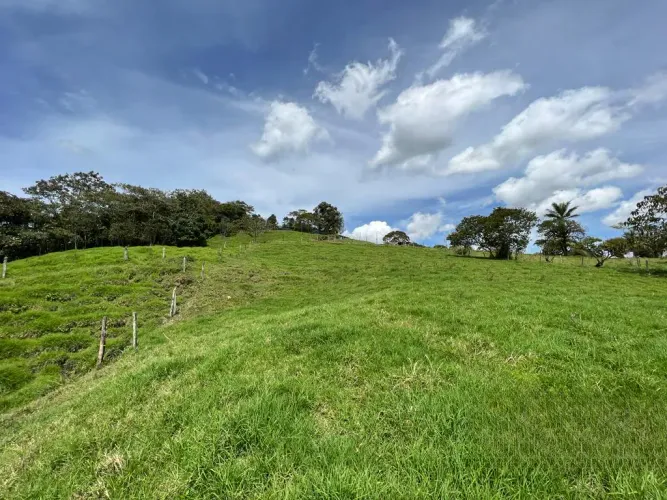 Lote en venta en Quirama, El Carmen de Viboral, 74000 m² · foto 14 de 24