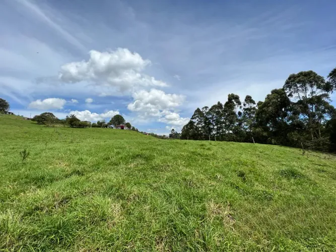 Lote en venta en Quirama, El Carmen de Viboral, 74000 m² · foto 15 de 24