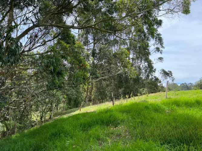 Lote en venta en Quirama, El Carmen de Viboral, 74000 m² · foto 16 de 24