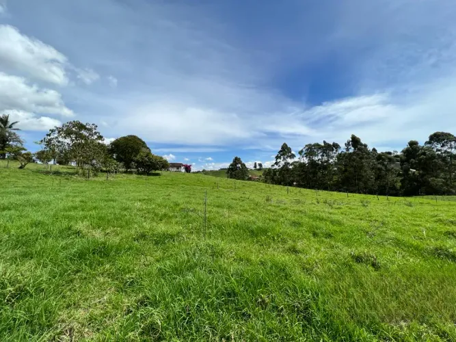 Lote en venta en Quirama, El Carmen de Viboral, 74000 m² · foto 19 de 24