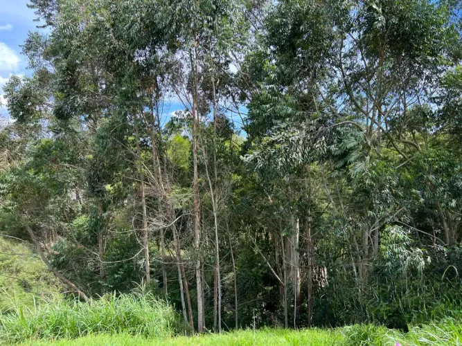 Lote en venta en Quirama, El Carmen de Viboral, 74000 m² · foto 21 de 24
