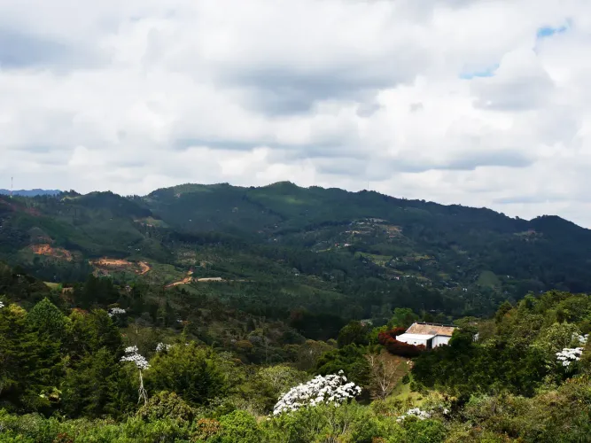 Lote en venta en Don Diego, El Retiro, 5000 m² · foto 2 de 10