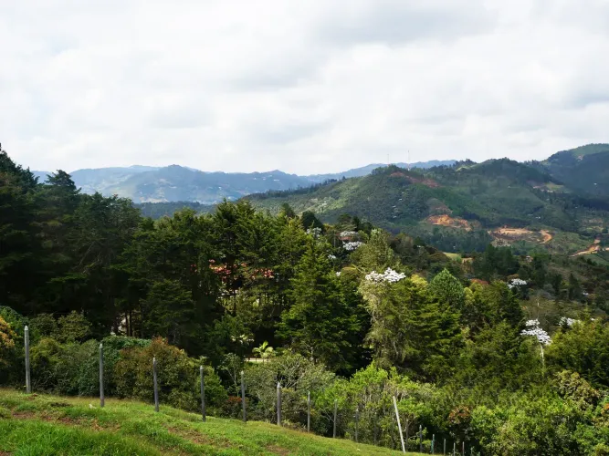 Lote en venta en Don Diego, El Retiro, 5000 m² · foto 6 de 10
