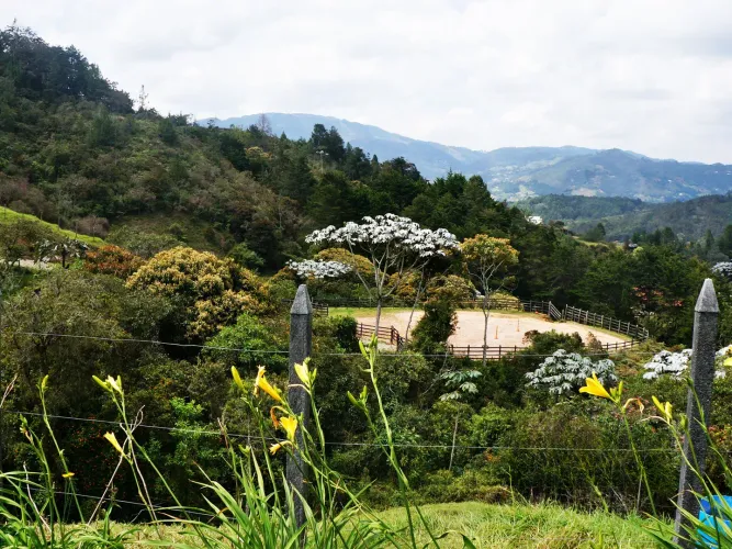 Lote en venta en Don Diego, El Retiro, 5000 m² · foto 7 de 10