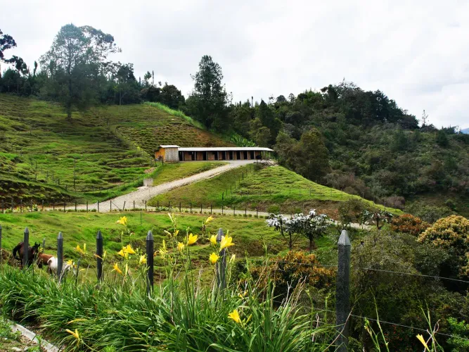 Lote en venta en Don Diego, El Retiro, 5000 m² · foto 8 de 10