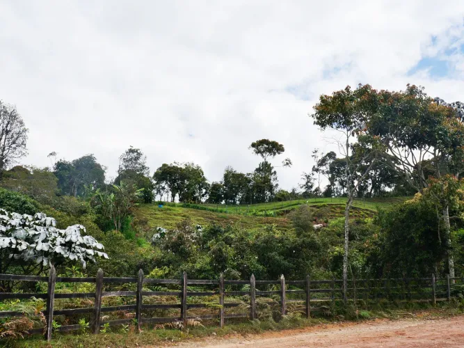 Lote en venta en Don Diego, El Retiro, 5000 m² · foto 9 de 10