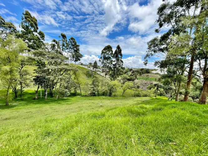 Lote en venta en Cristo Rey, El Carmen de Viboral, 76335 m² · foto 2 de 15