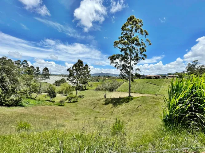 Lote en venta en Cristo Rey, El Carmen de Viboral, 76335 m² · foto 3 de 15