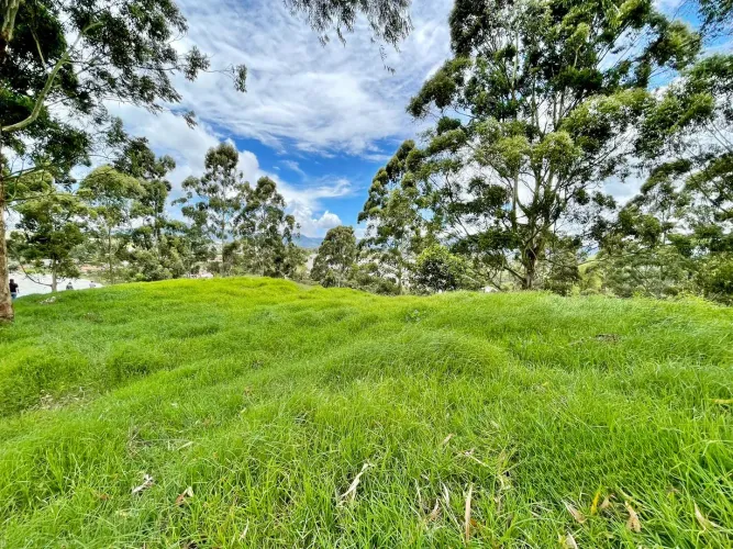 Lote en venta en Cristo Rey, El Carmen de Viboral, 76335 m² · foto 5 de 15