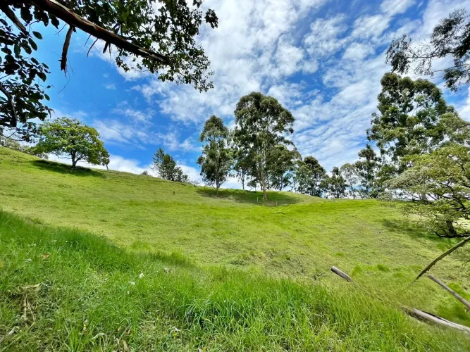 Lote en venta en Cristo Rey, El Carmen de Viboral, 76335 m² · foto 8 de 15
