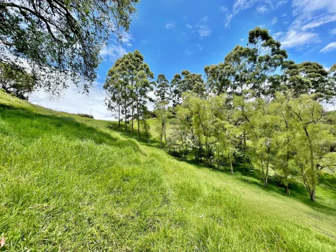 Lote en venta en Cristo Rey, El Carmen de Viboral, 76335 m² · foto 9 de 15