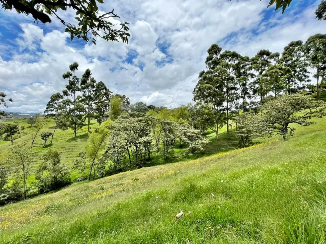 Lote en venta en Cristo Rey, El Carmen de Viboral, 76335 m² · foto 11 de 15