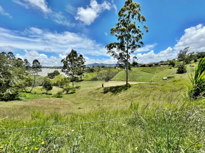 Lote en venta en Cristo Rey, El Carmen de Viboral, 76335 m² · foto 12 de 15