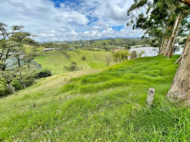 Lote en venta en Cristo Rey, El Carmen de Viboral, 76335 m² · foto 13 de 15