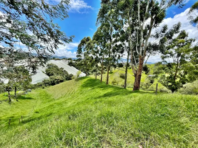 Lote en venta en Cristo Rey, El Carmen de Viboral, 76335 m² · foto 14 de 15