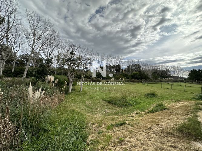 Foto 3 de 14