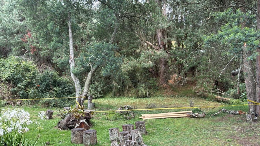 Casa de 3 alcobas en arriendo en Meusa, Sopó, 294 m² · foto 3 de 23