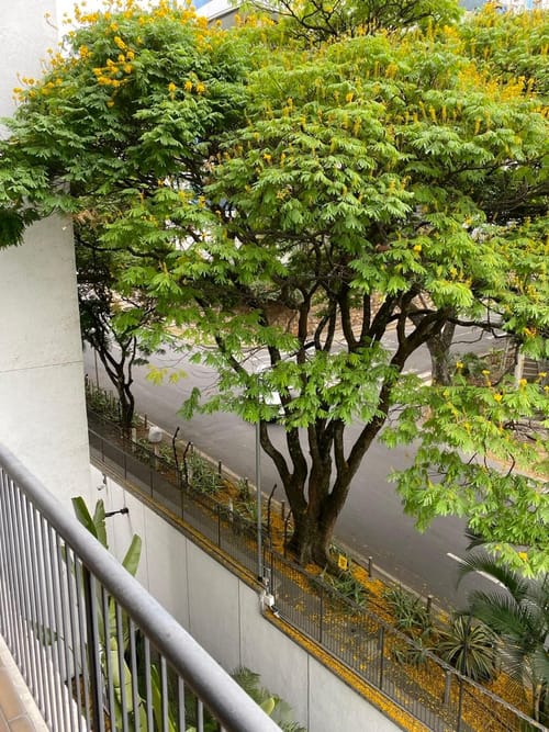 Apartamento en venta en Normandia, Cali · foto 11 de 19