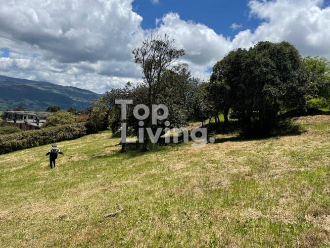 Lote en venta en Santa Rita, Chía, 3000 m² · foto 3 de 3