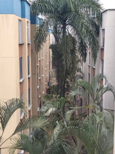 Apartamento de 3 alcobas en venta en Metropolitano Del Norte, Cali, 51 m² · foto 23 de 24