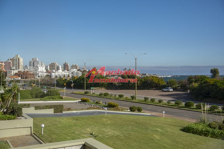 Foto 5 de 26