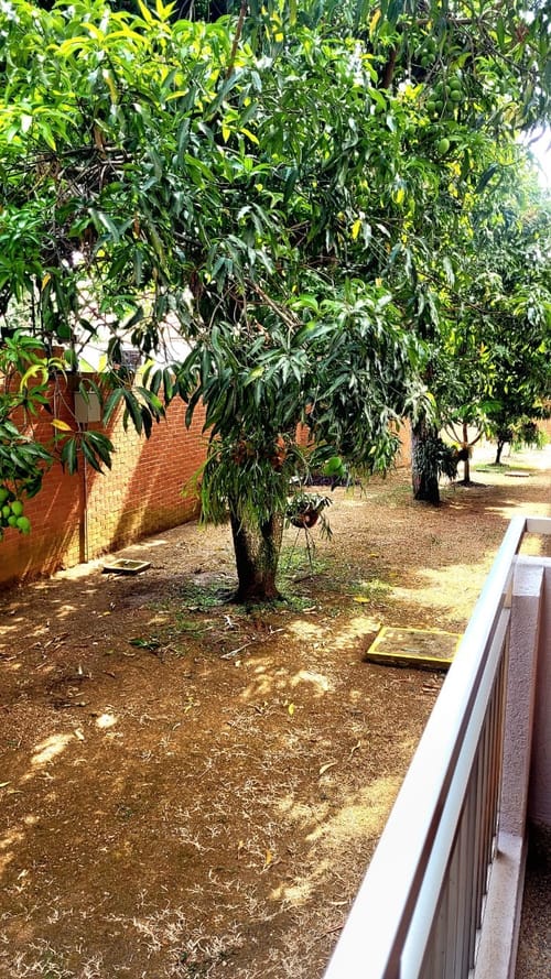 Apartamento de 3 alcobas en venta en Pance, Cali, 215 m² · foto 12 de 18