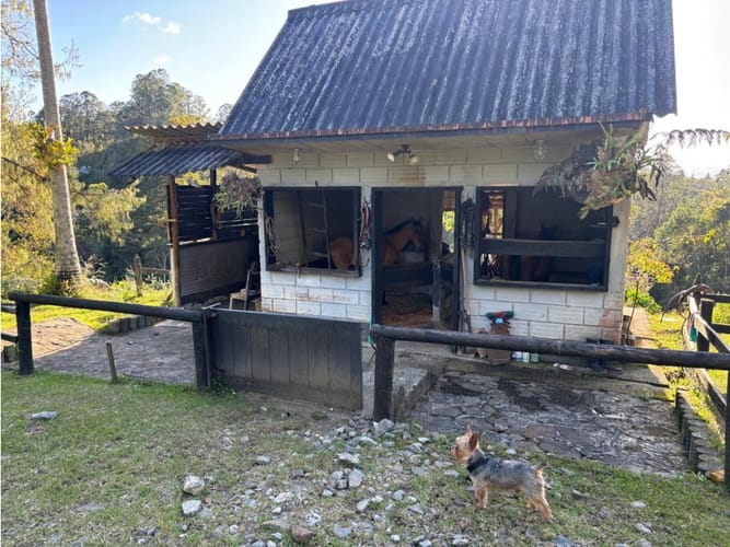 Finca en venta en El Higueron, Rionegro, 250 m² · foto 24 de 24