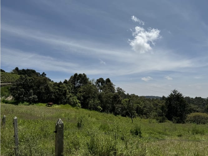 Lote en venta en Sajonia, Rionegro, 5414 m² · foto 2 de 5