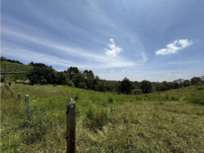 Lote en venta en Sajonia, Rionegro, 5414 m² · foto 4 de 5