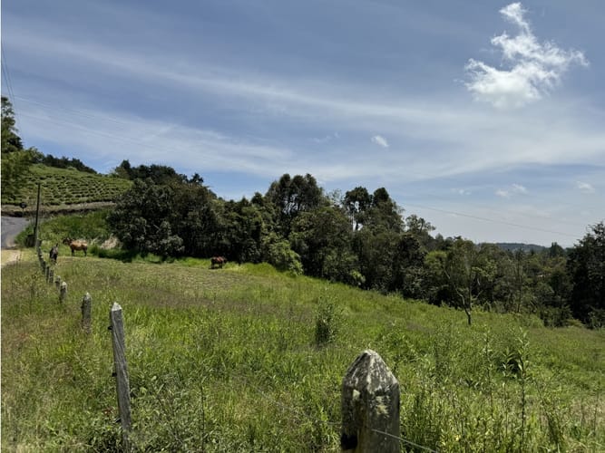 Lote en venta en Sajonia, Rionegro, 5414 m² · foto 5 de 5