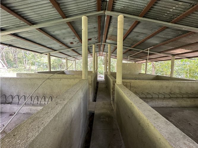 Finca en venta en Corregimiento De Minca, Santa Marta · foto 9 de 24